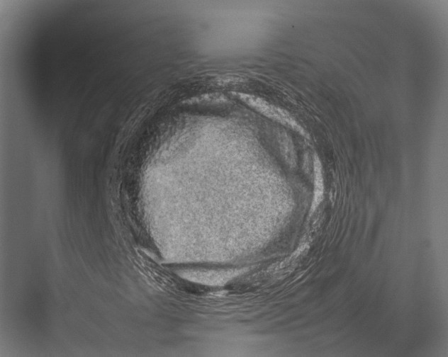 X0000075331441200610061616