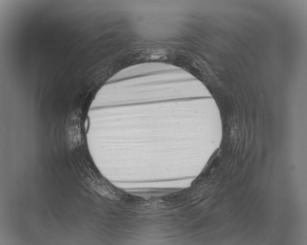 X0000075331442200610061616