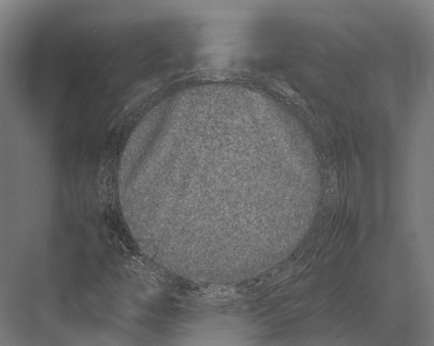 X0000075331446200610061616