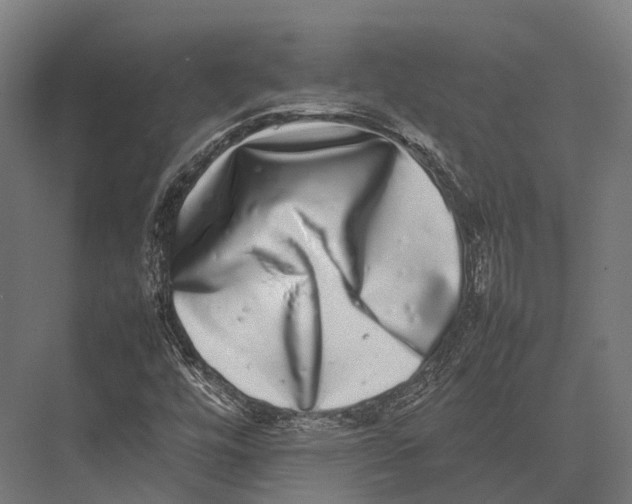 X0000075331448200610061616