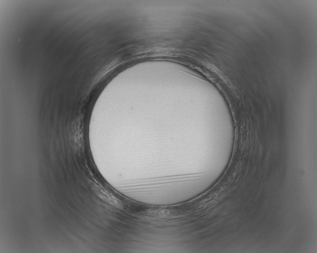 X0000075331450200610061616