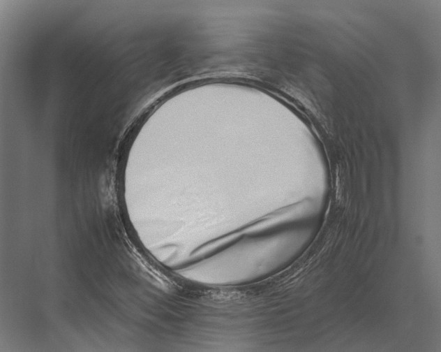 X0000075331452200610061616