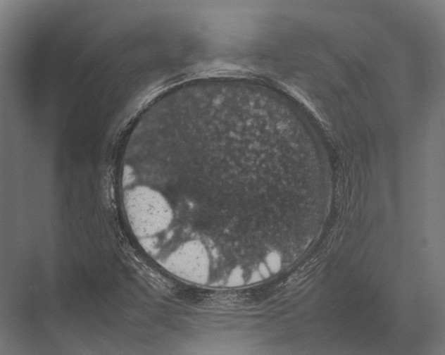 X0000075331455200610061616