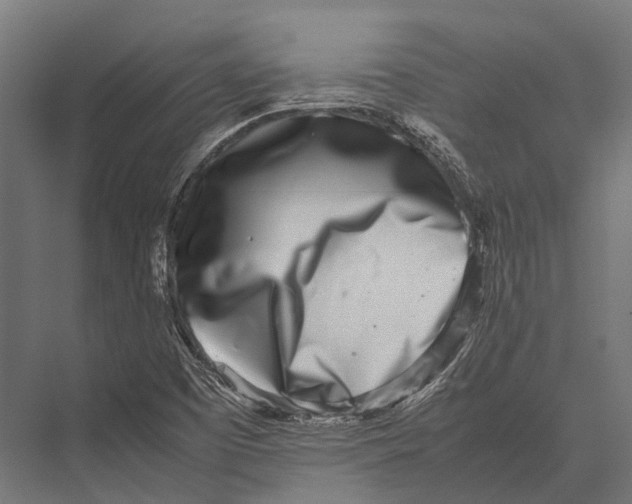 X0000075331457200610061615