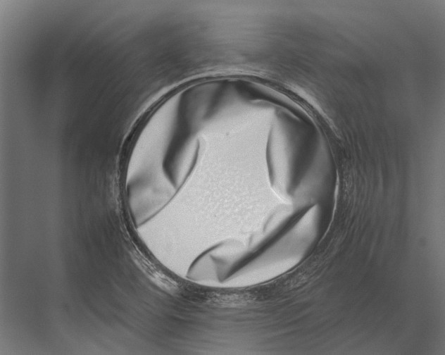 X0000075331460200610061615