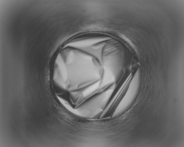 X0000075331461200610061615