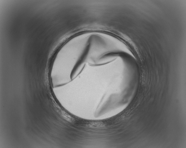 X0000075331464200610061615