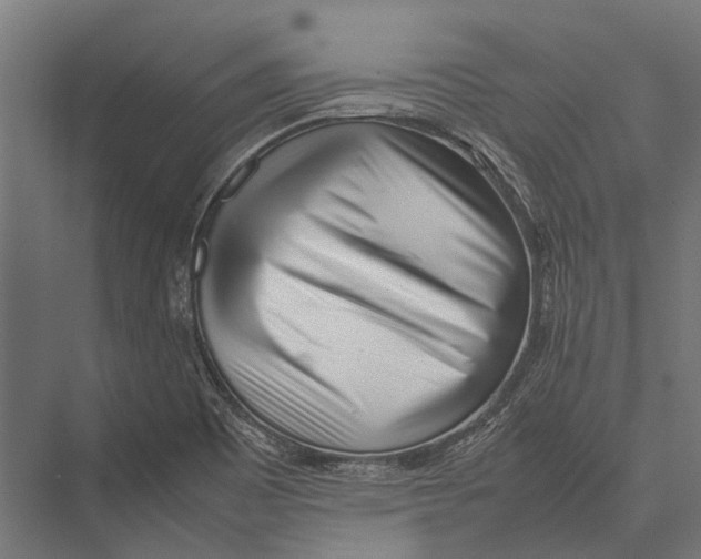 X0000075331465200610061615