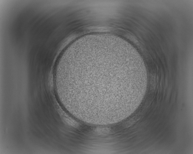 X0000075331466200610061615