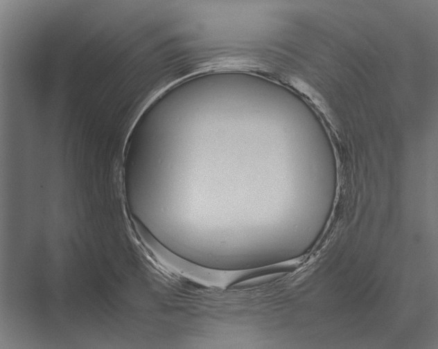 X0000075331473200610061615