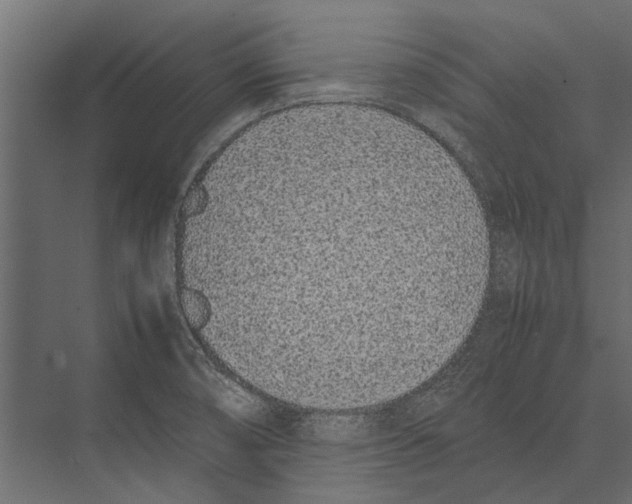 X0000075331474200610061615