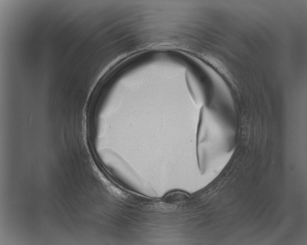 X0000075331476200610061615