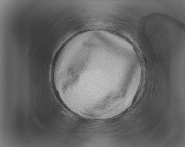 X0000075331477200610061615