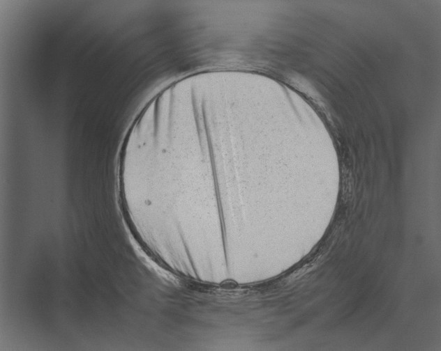 X0000075331479200610061615