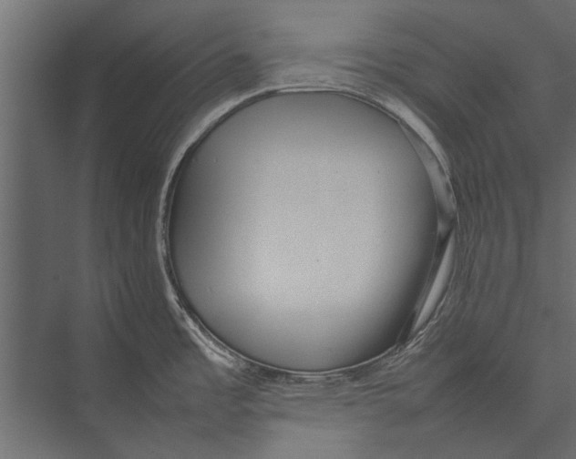 X0000075331485200610061615