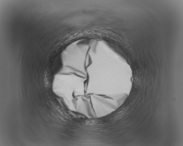 X0000075331490200610061614