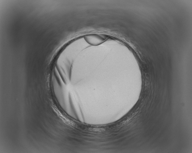 X0000075331503200610061614