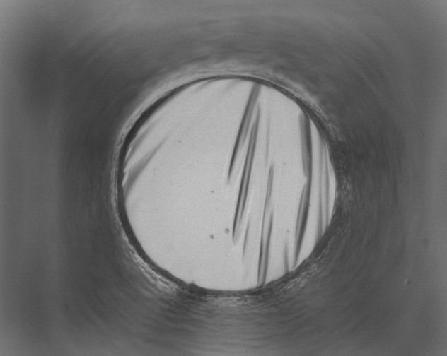 X0000075331512200610061615