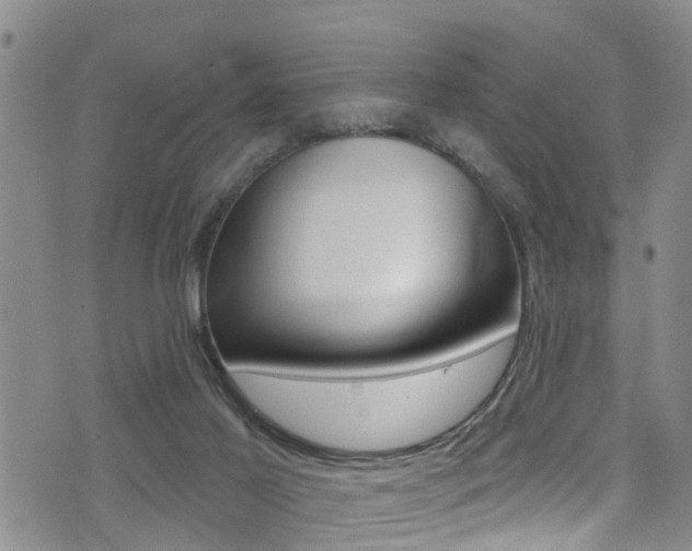 X0000075340021200609080806