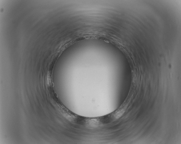 X0000075340287200609080803
