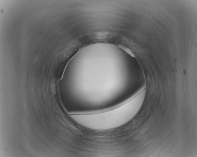 X0000075340562200609080758