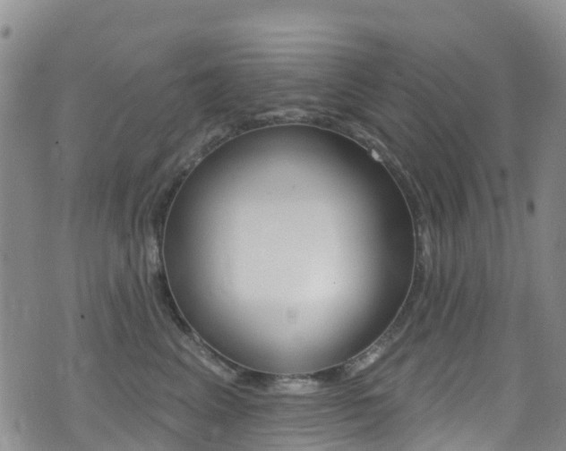 X0000075340617200609080757