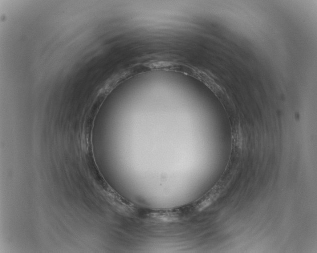 X0000075340763200609080755