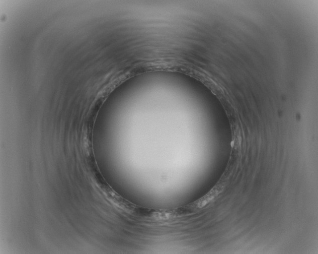 X0000075340764200609080755