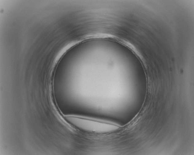 X0000075341187200609080747