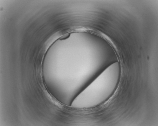 X0000075341194200609080747