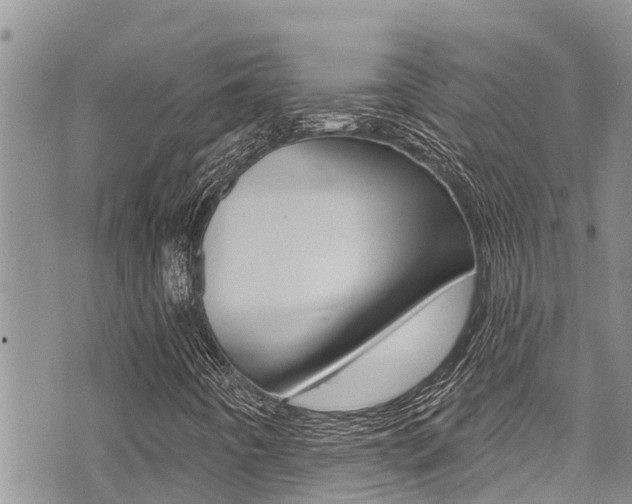 X0000075341442200609080743
