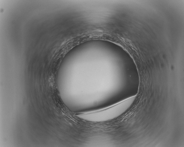 X0000075341445200609080743