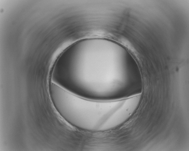 X0000075341480200609080743