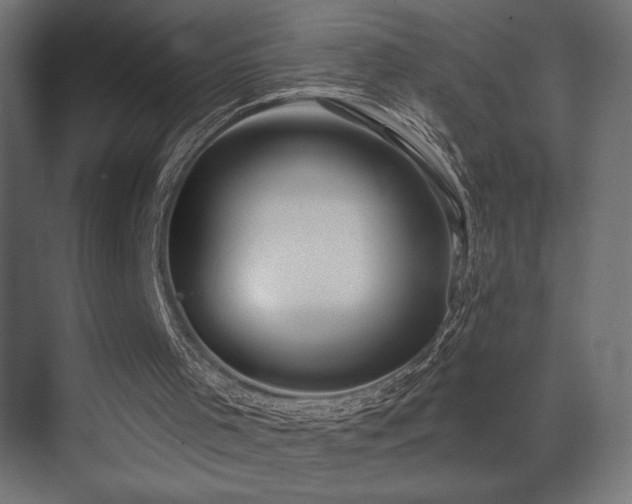 X0000075340001200609081135