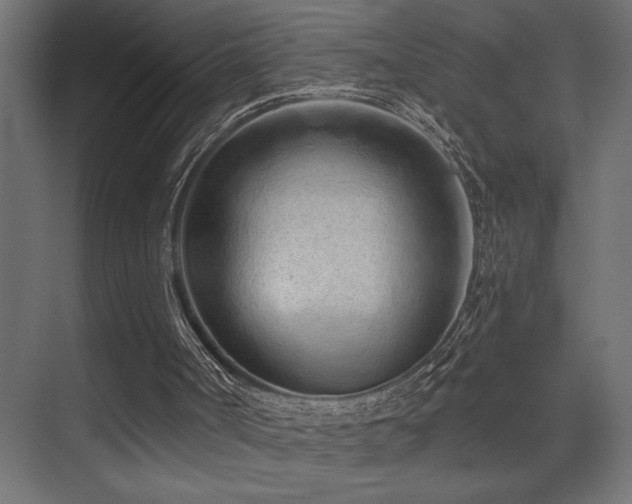 X0000075340002200609081135