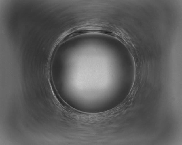 X0000075340003200609081135