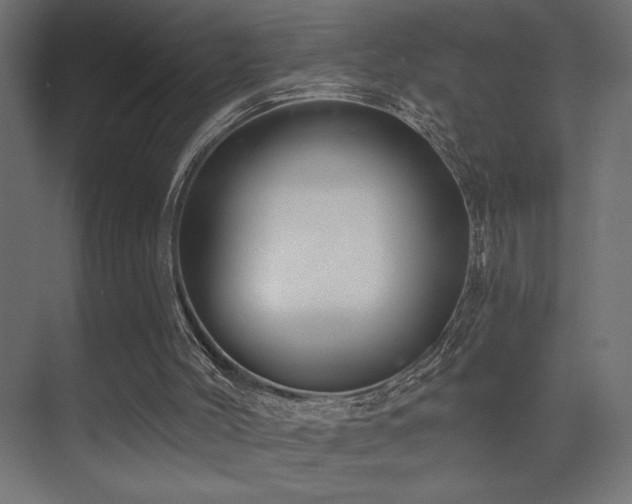 X0000075340004200609081135