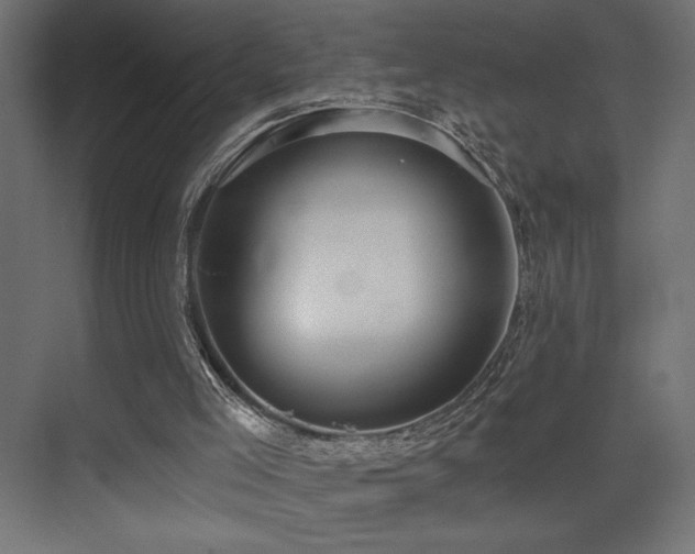 X0000075340005200609081135