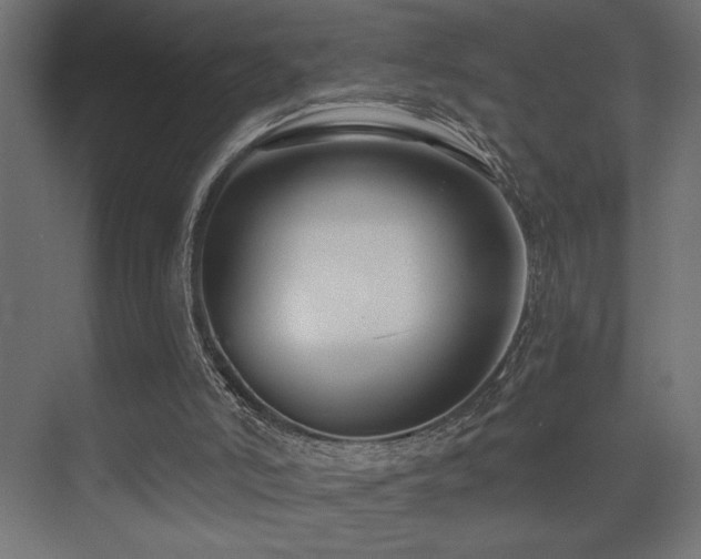 X0000075340006200609081135