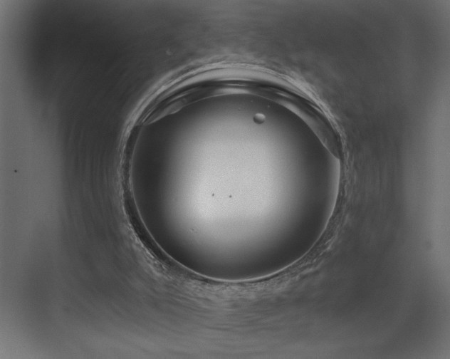 X0000075340007200609081135