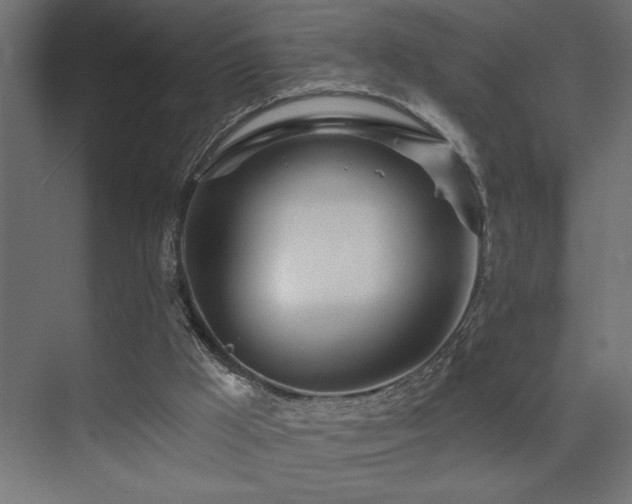 X0000075340009200609081135