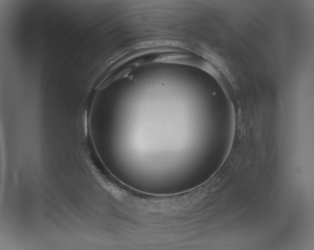 X0000075340013200609081135