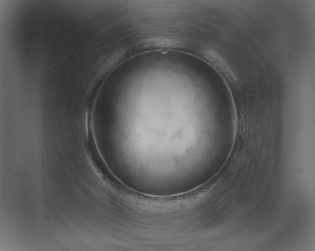 X0000075340014200609081135