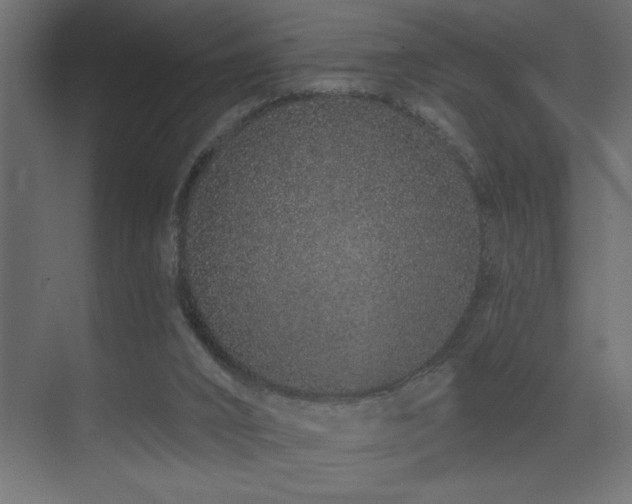 X0000075340016200609081135