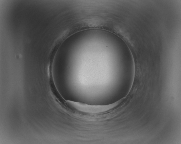X0000075340019200609081135