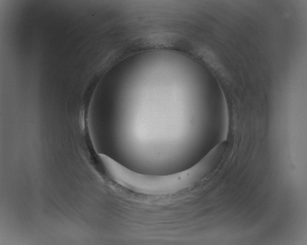 X0000075340021200609081135