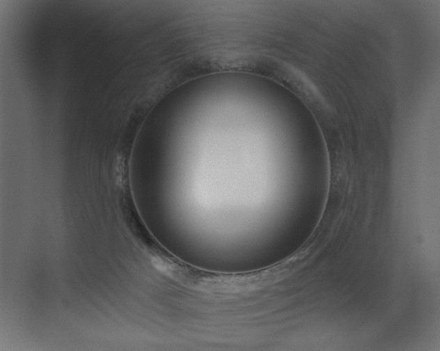 X0000075340025200609081135