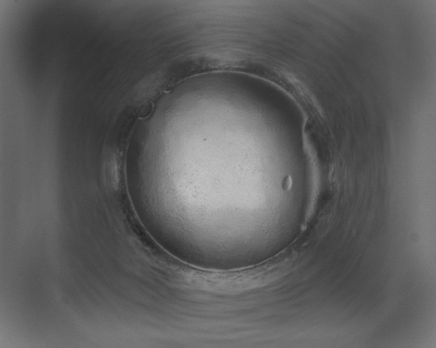 X0000075340026200609081135