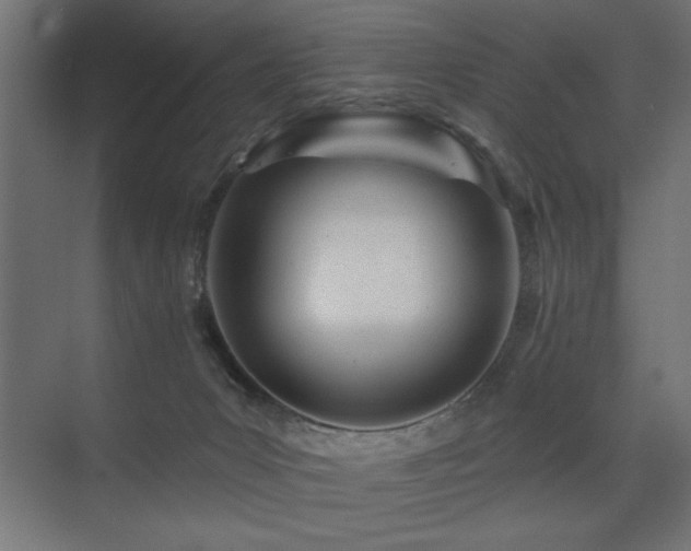 X0000075340031200609081135