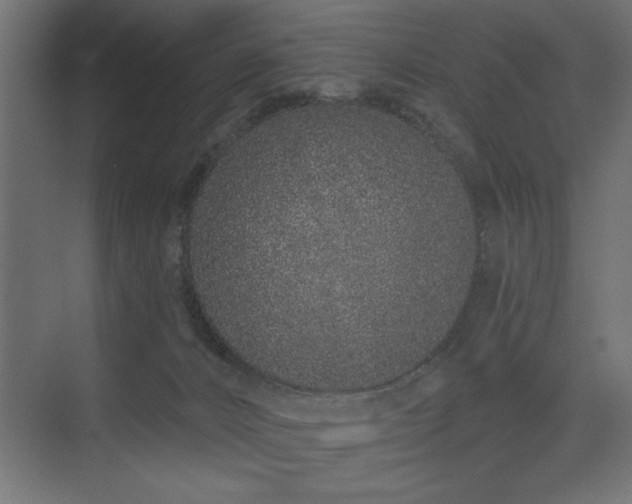 X0000075340032200609081135